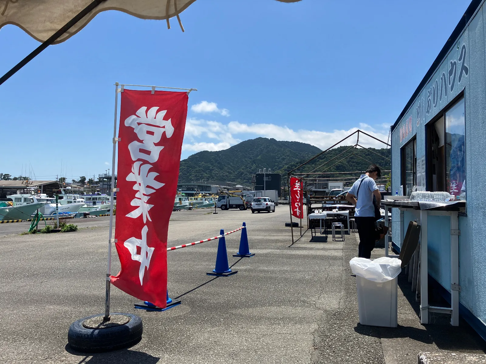 しらす丼800円なりを頼んで、しばし待機タイム。夏景色になってきた港の風景に、セミが鳴き出さないことを願って眺めます。

さすがにセミが鳴くと、気分的に暑さがマックスになって疲れてしまいます。まだ今は大丈夫かな🙆　助かります。