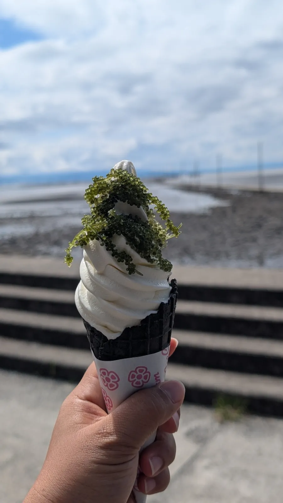 トッピング無料だったので挑戦してみました。
絶対合わないって思って食べてみたら、そんなに違和感はなくて👍️
次は海苔や昆布茶に挑戦します。