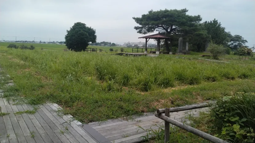 菖蒲城阯あやめ園