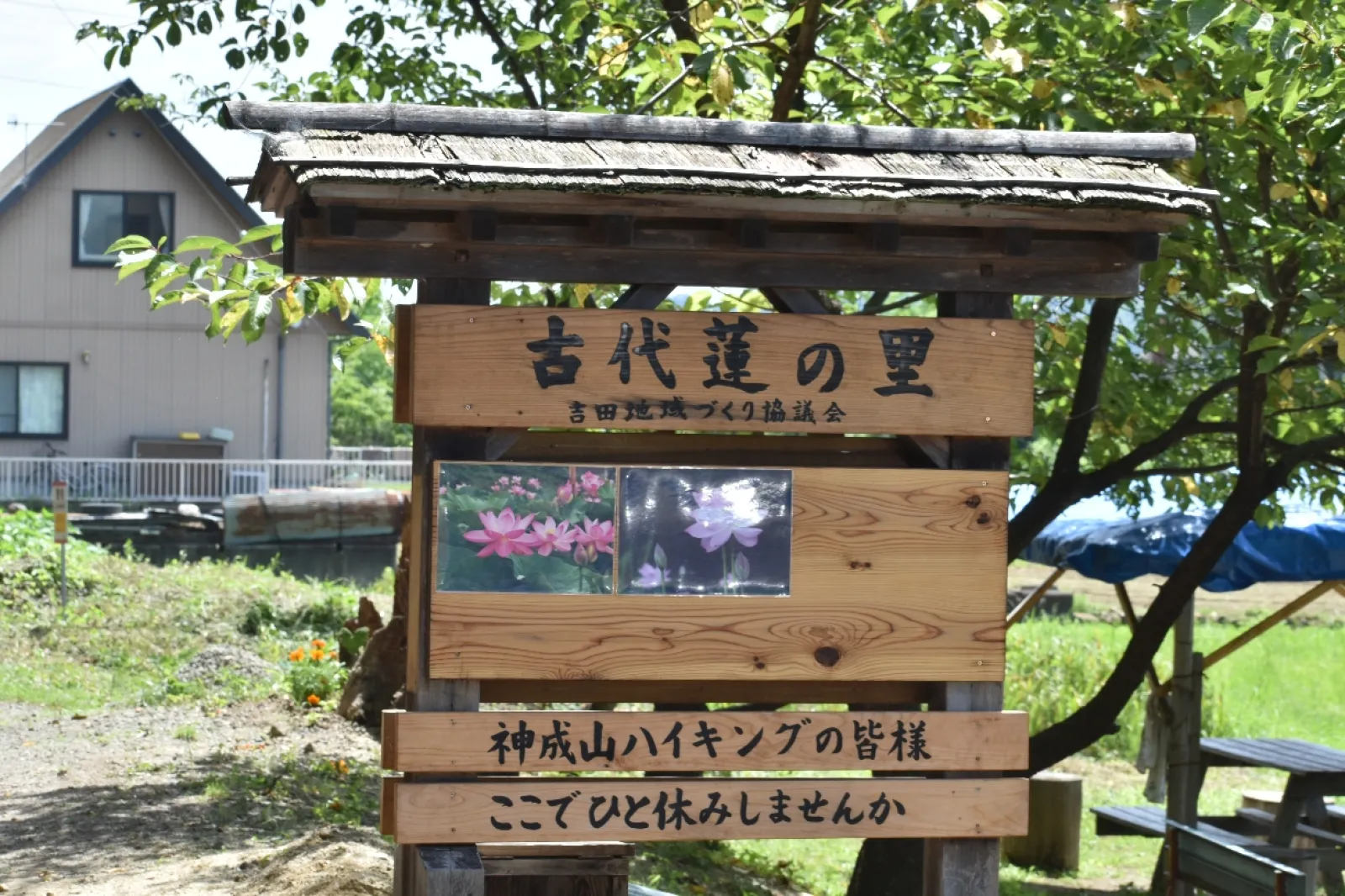 今月初旬までが最盛期かな