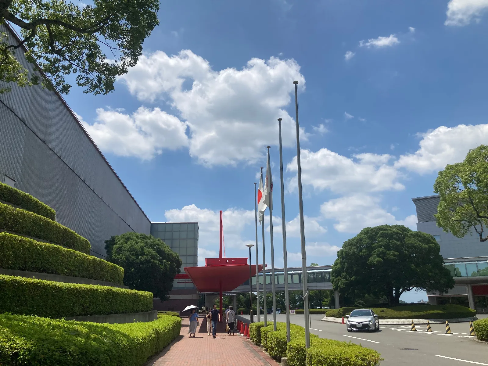 空き地スペースから歩いていく途中、セミの声が激しく迎えてくれました。暑いに加えて熱いです🥵。