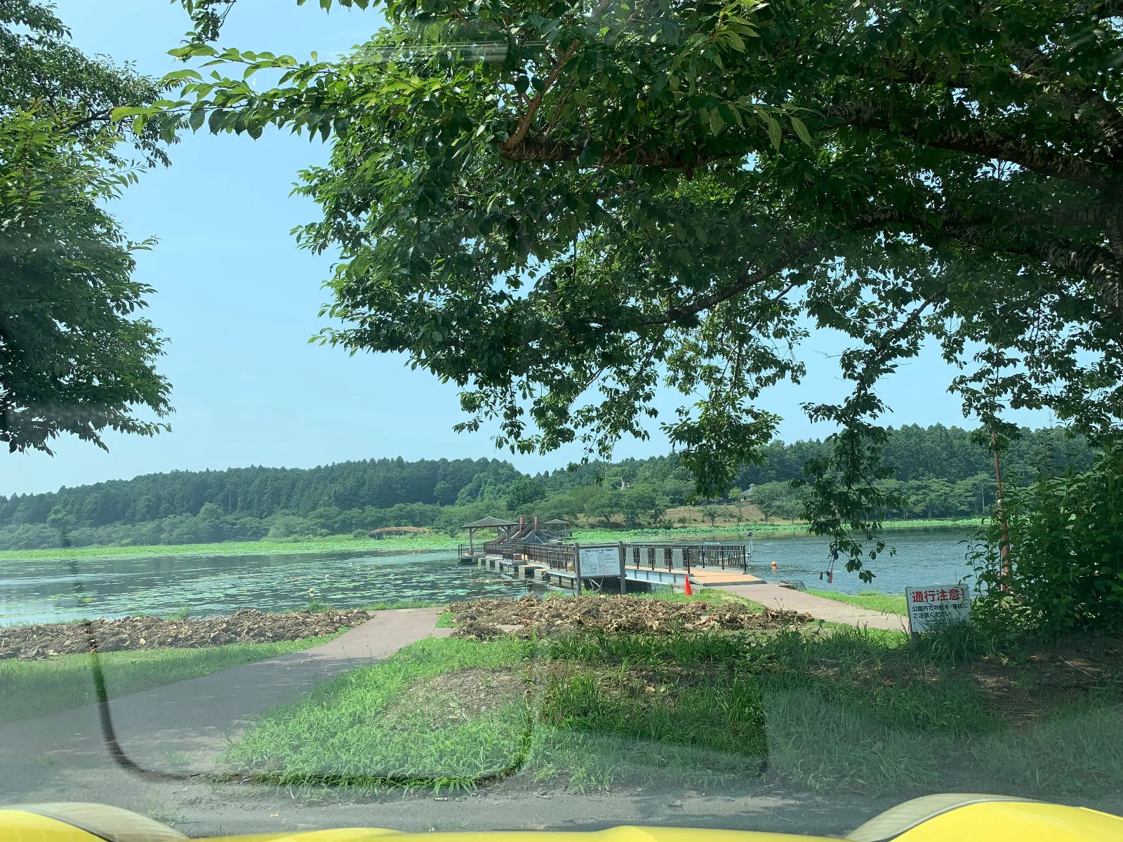 平筒沼はところどころにハスの花が咲いてます。その後は道の駅、三滝堂へ。