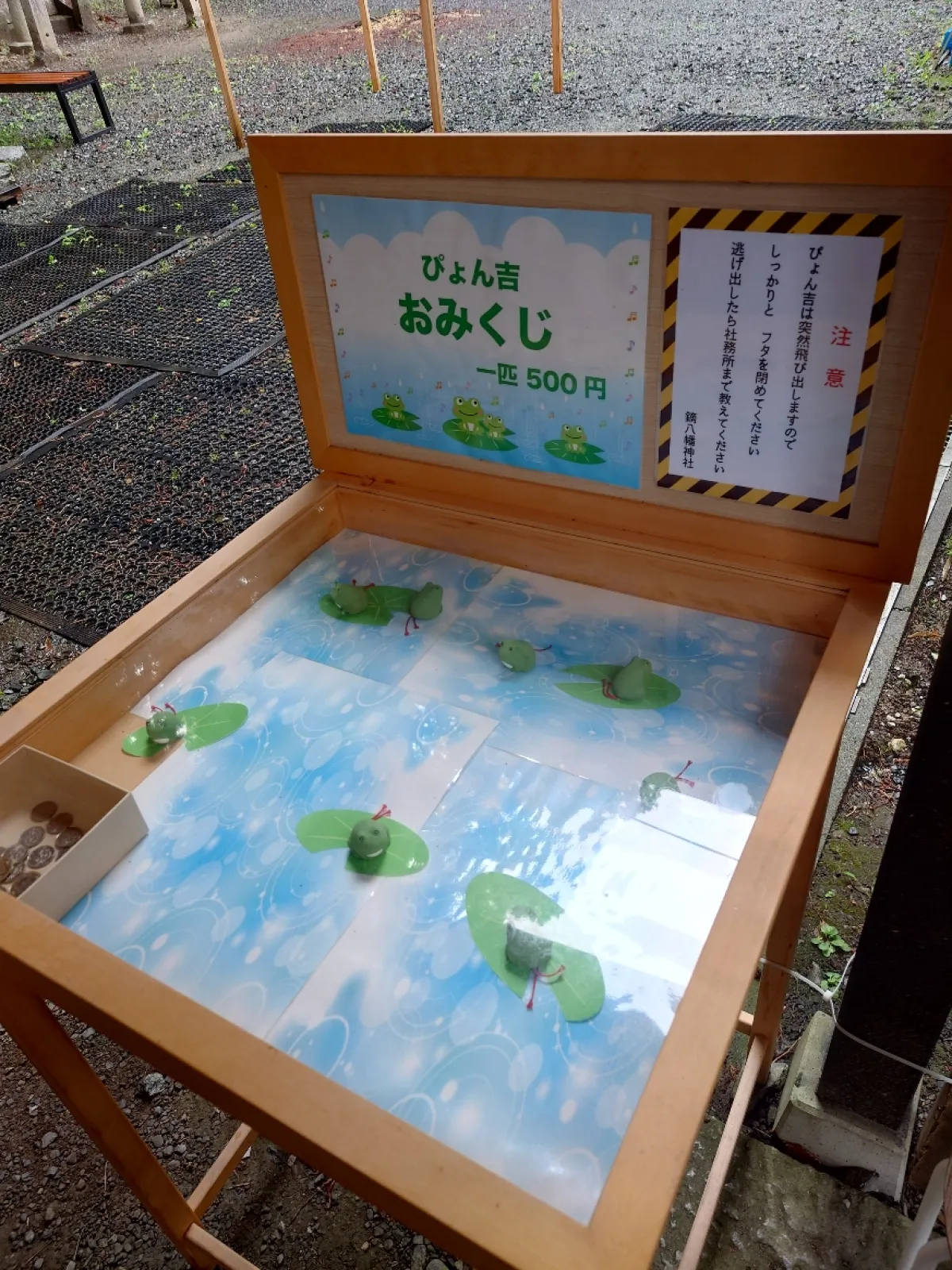 梅雨らしくぴょん吉おみくじがありました。
蓋をしないと逃げちゃうそうです。