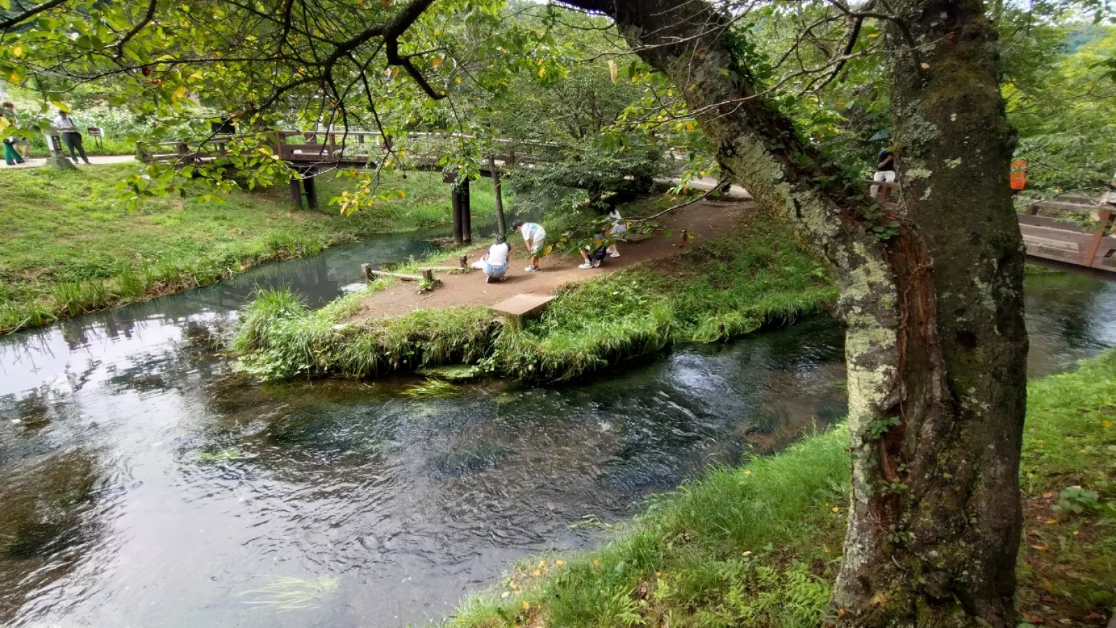 綺麗な川辺！
暑いですけど〜＼(^o^)／