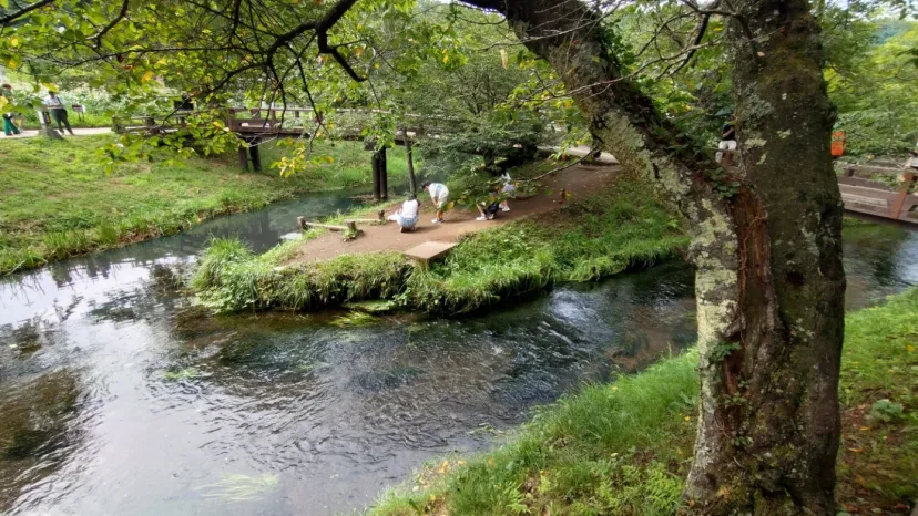 忍野八海ポイント取得位置