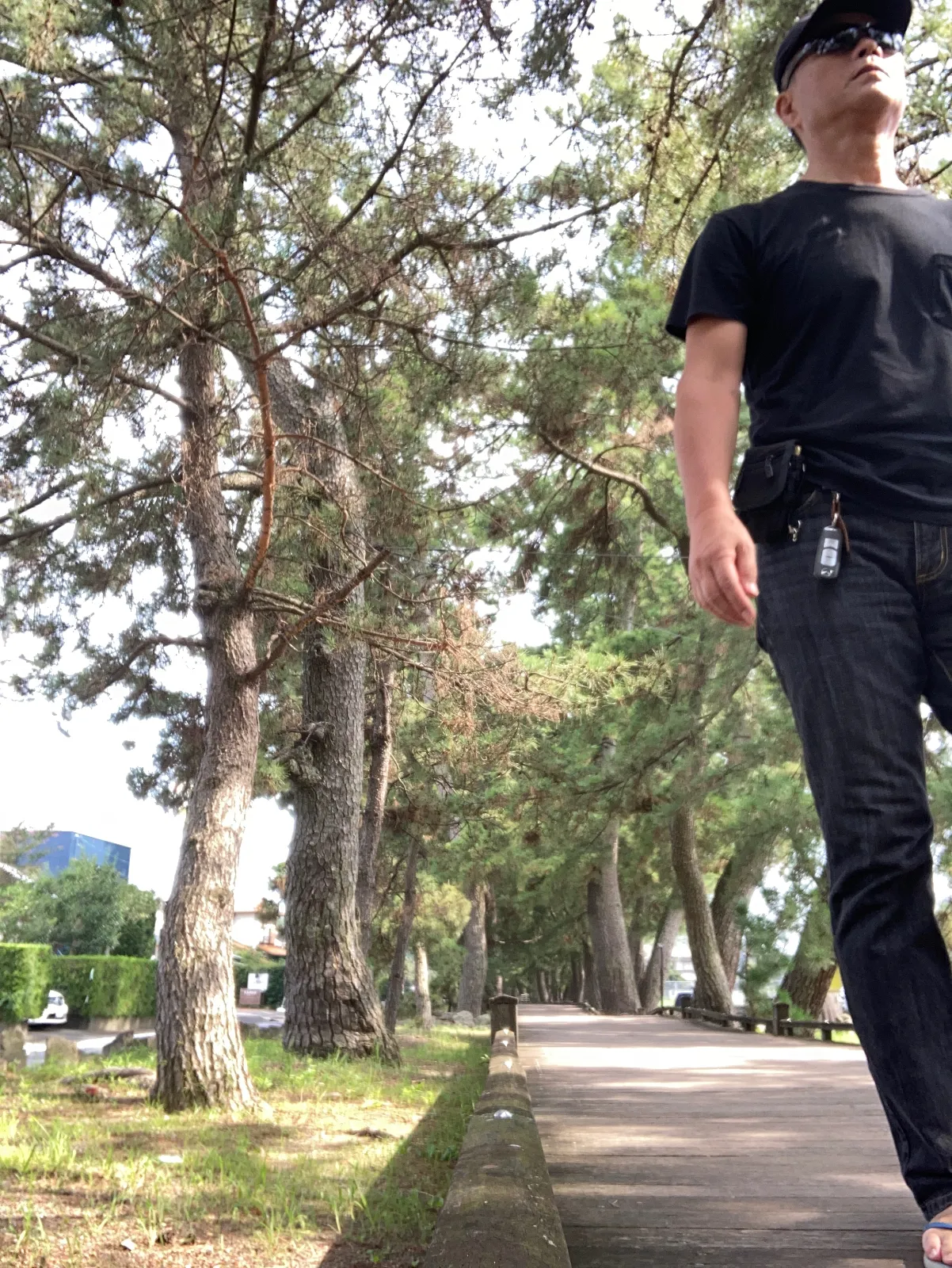 神の道を歩いて、御穂神社に向かいます。
松並木が神聖域に導いてくれます。
真ん中は、神さまの道なので、ややずれて端を歩きます。