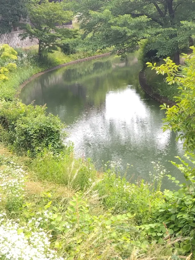 涼しそうな運河