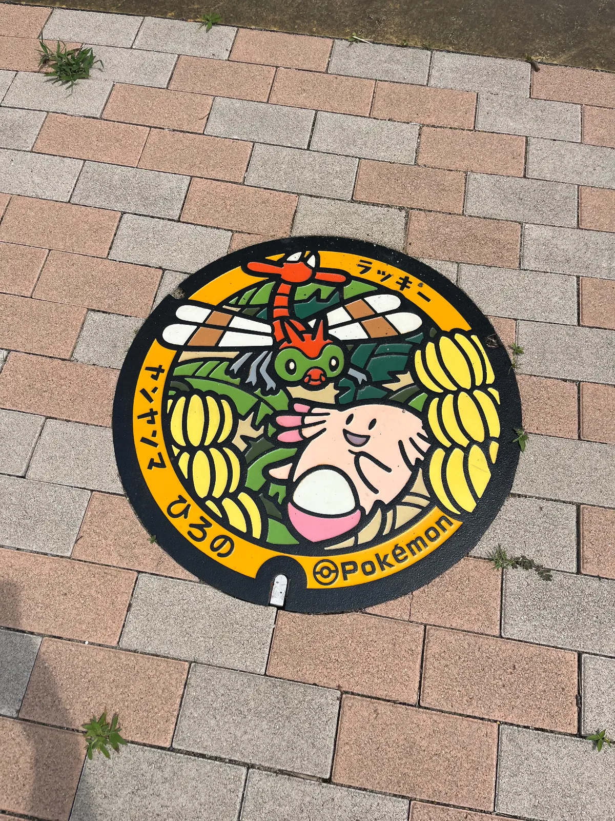 バナナが名産品？のようです
こちらが設置されていた公園内にはアルパカも飼育されていました