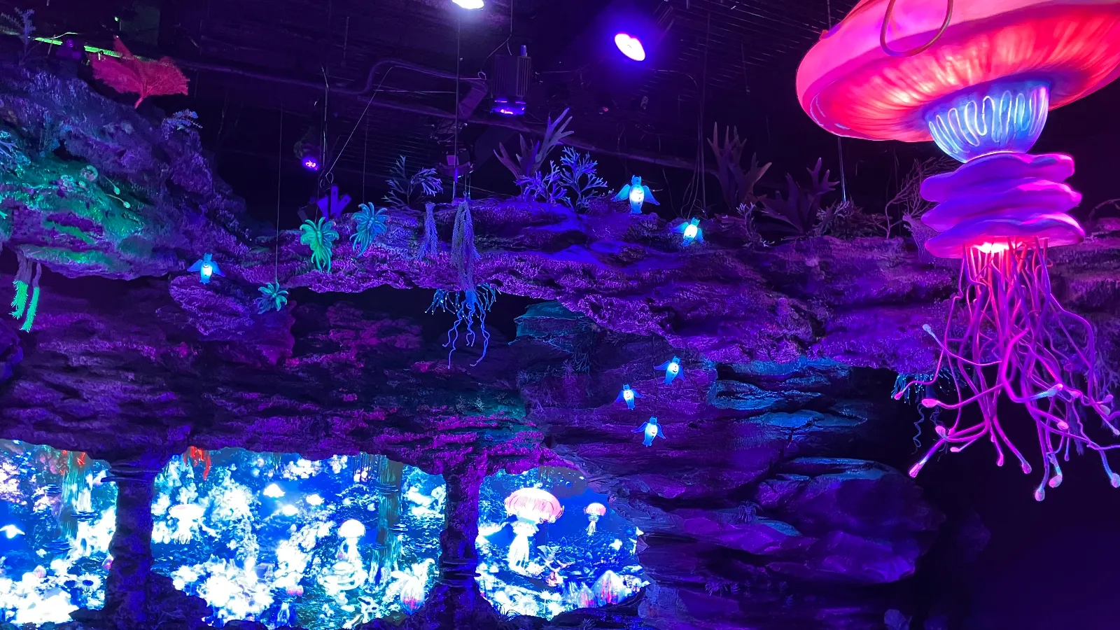 沼津港深海水族館にて…
興味深い展示多数…
https://mixi.social/@MaCH_3/posts/270c98d2-570f-47fe-8fec-82736fb4ecc6
https://mobila-carlife.jp/sns/post/565fa1da7f7148beb324083bdce1cdec/