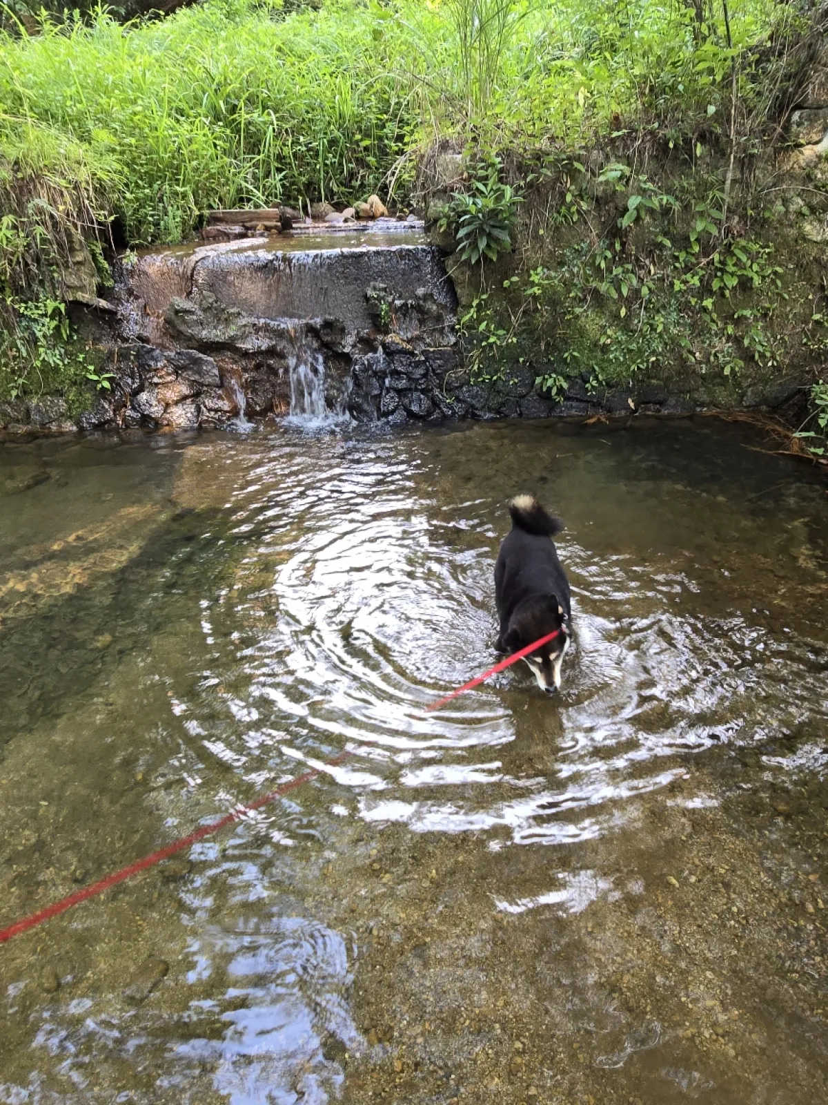 川遊びが、きもちよかった～