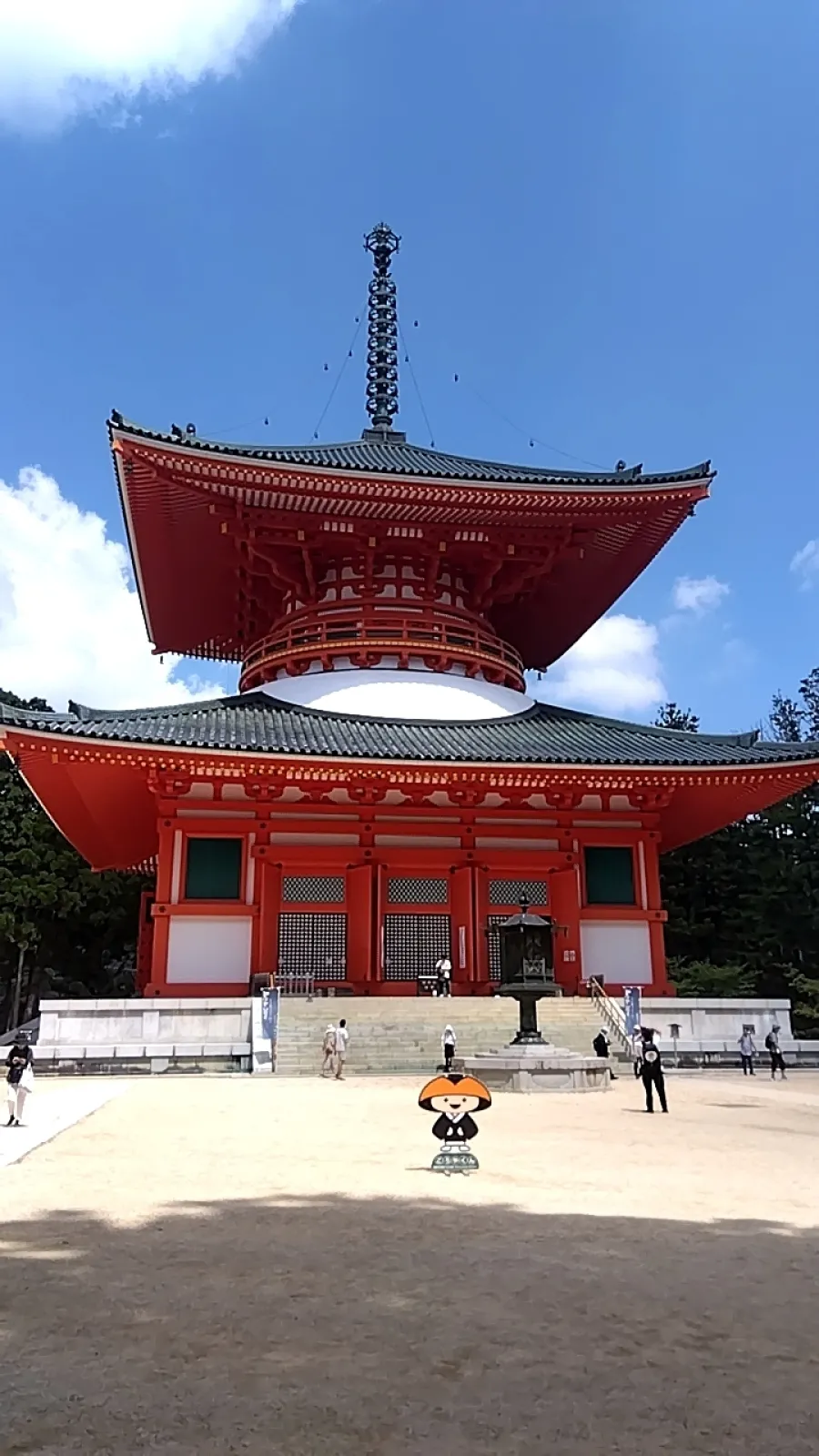高野山は下界より涼しいのですが今年はそうでもないようです