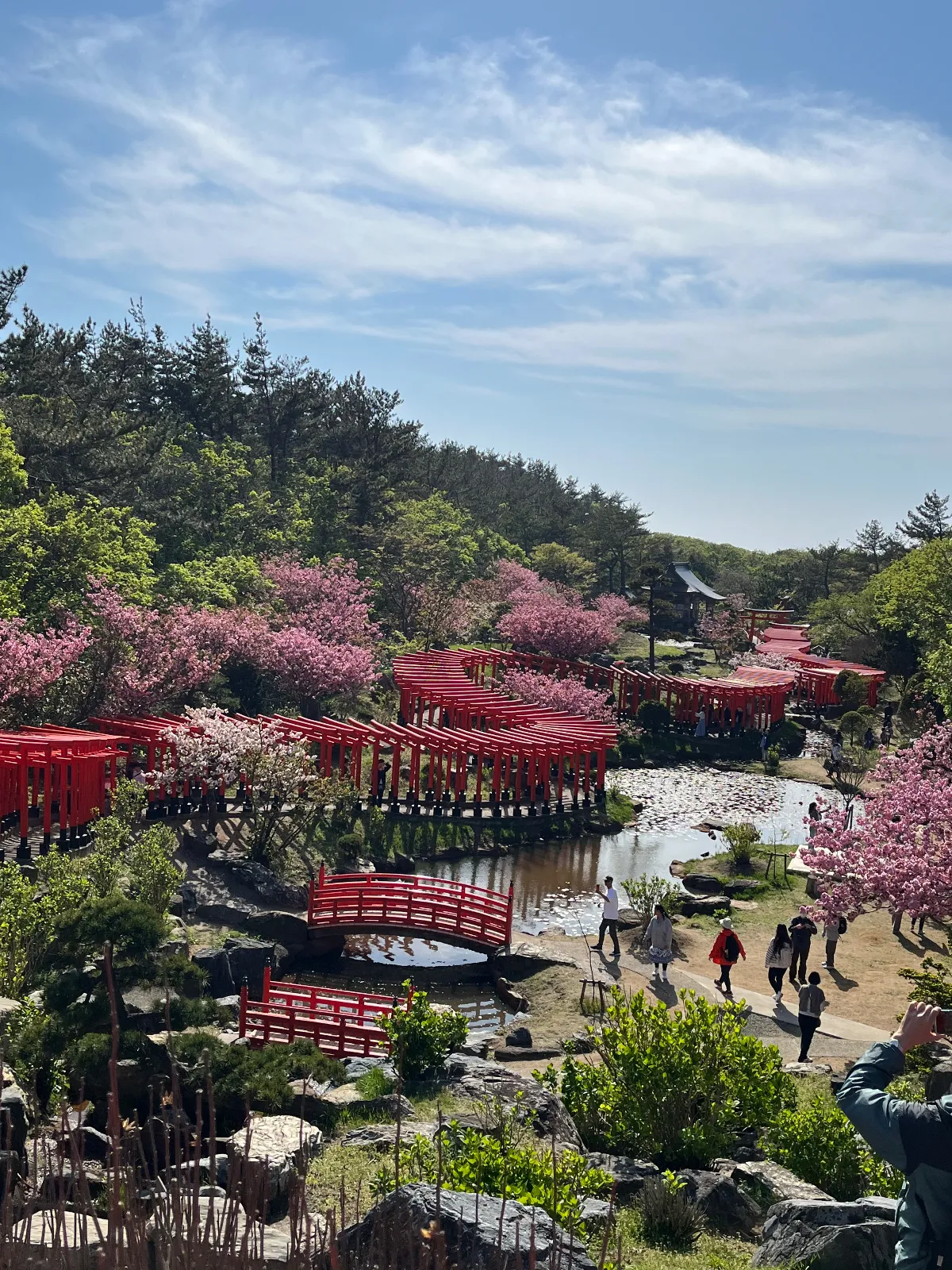 GWに青森の高山稲荷神社⛩️へドライブ
晴天に赤の鳥居⛩️が映えます

インバウンドの参拝者も多くてびっくり