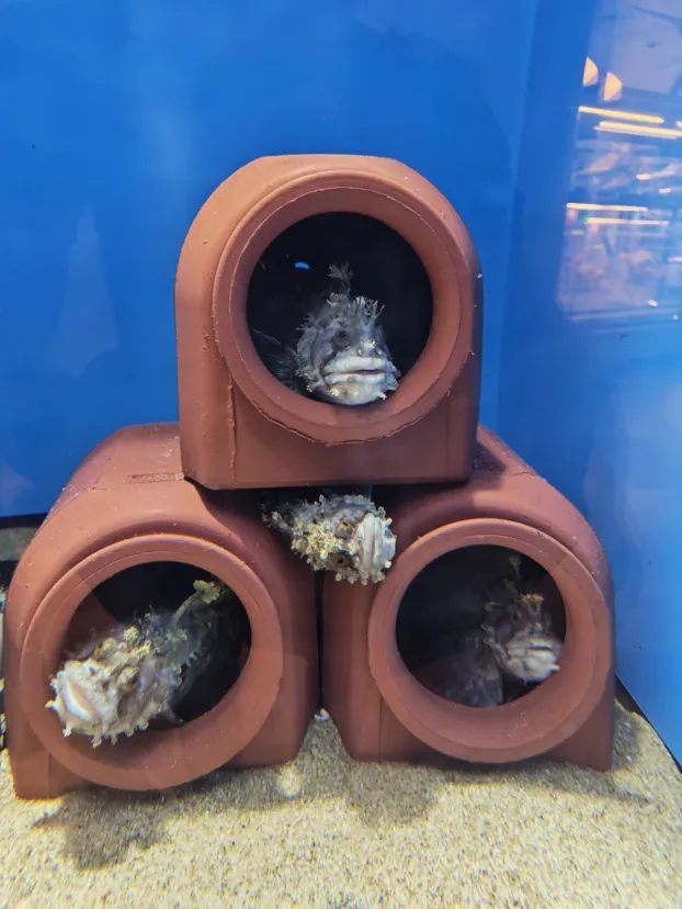 仲良し？