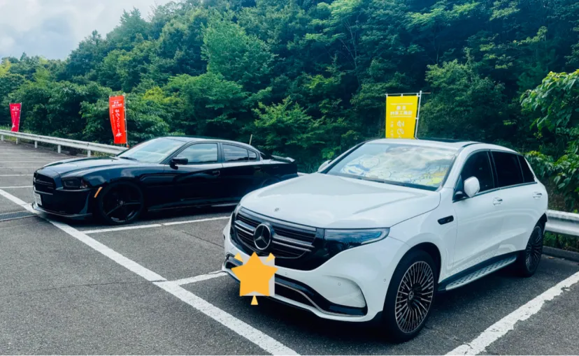 電費 約4.8km/kWh