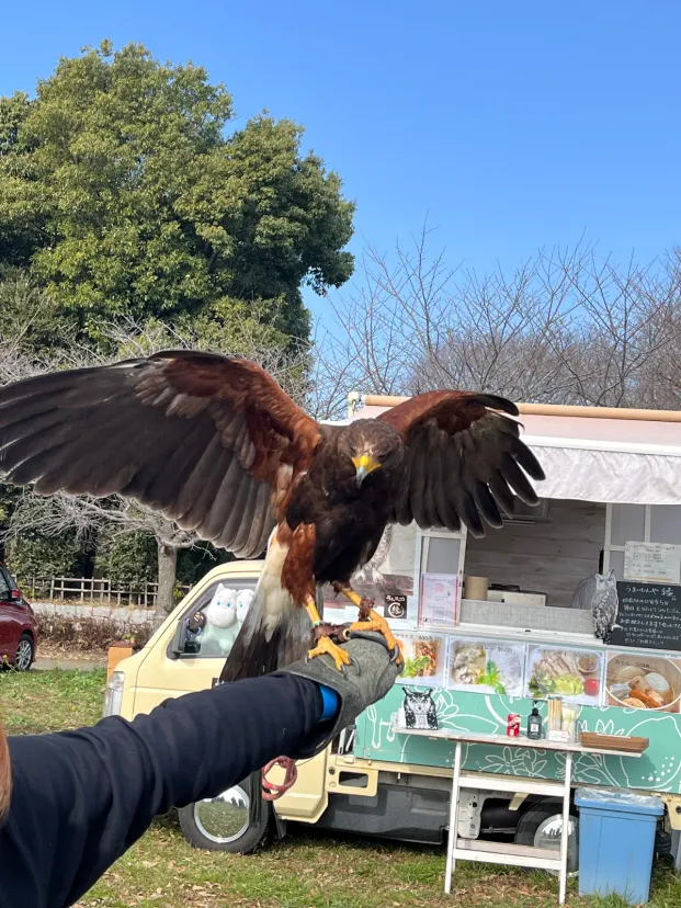 フライトフェスタ2026