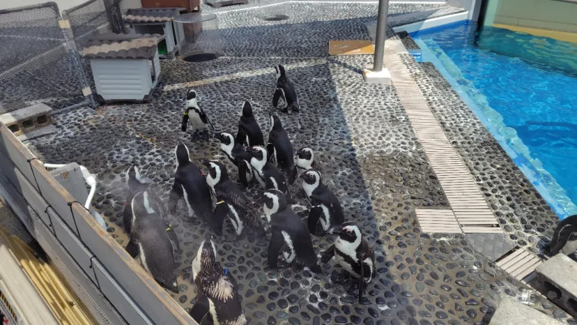 四国水族館