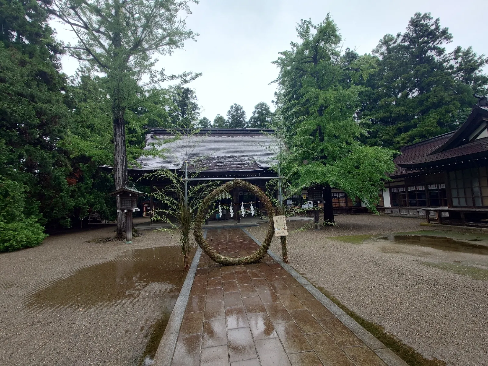 あいにくの雨降りでしたので境内の至る所に水溜りが出来て歩き辛かったです。