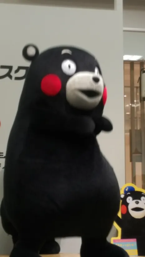 昔はここでくまモンに会えました