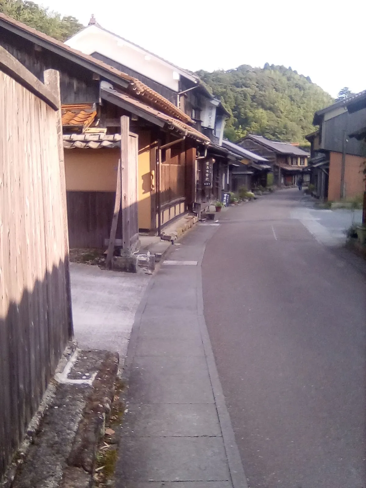 朝早い時間だとゆっくりと様子が見られる