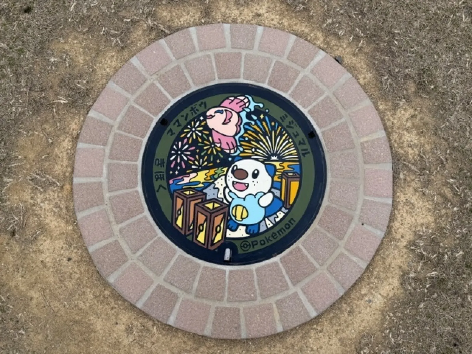 ミジュマル　ゲットだぜ🐾