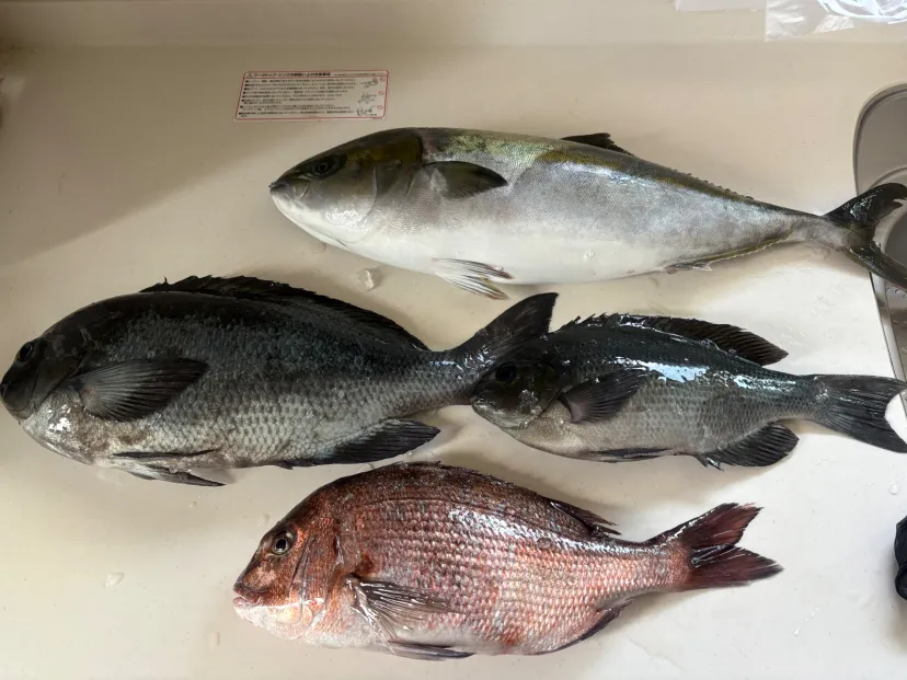 釣り堀