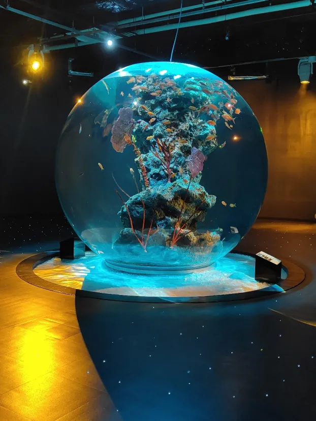 AQUA水族館　神戸