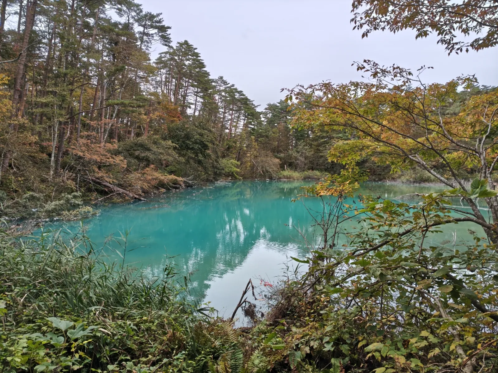 五色沼。
沼と聞くと、汚いイメージを持っているのですが、色が綺麗だと感じ方も変わりますね。