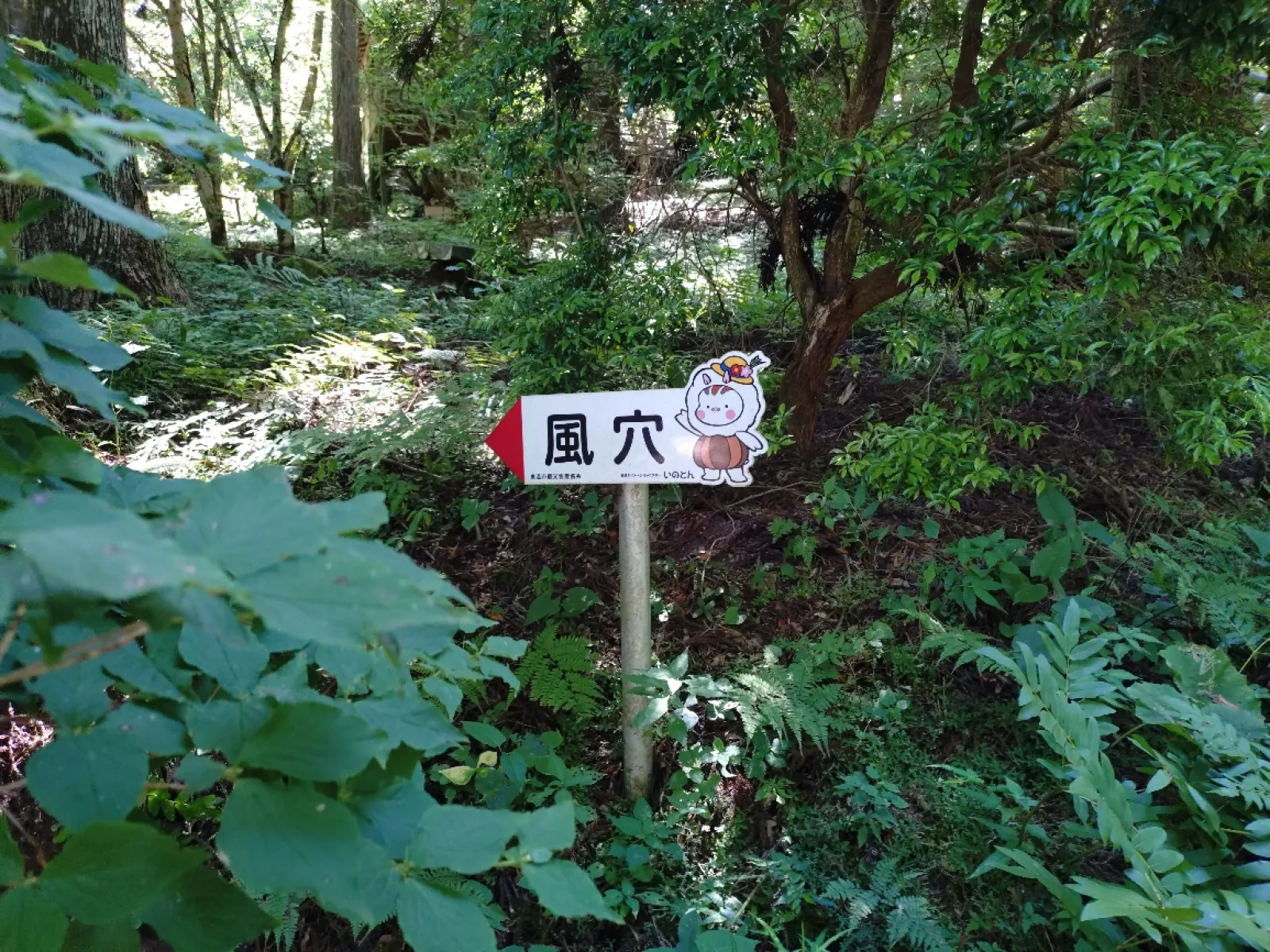 風穴にはじめて行ってみました