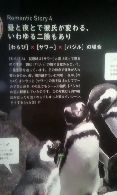 説明文がジワる