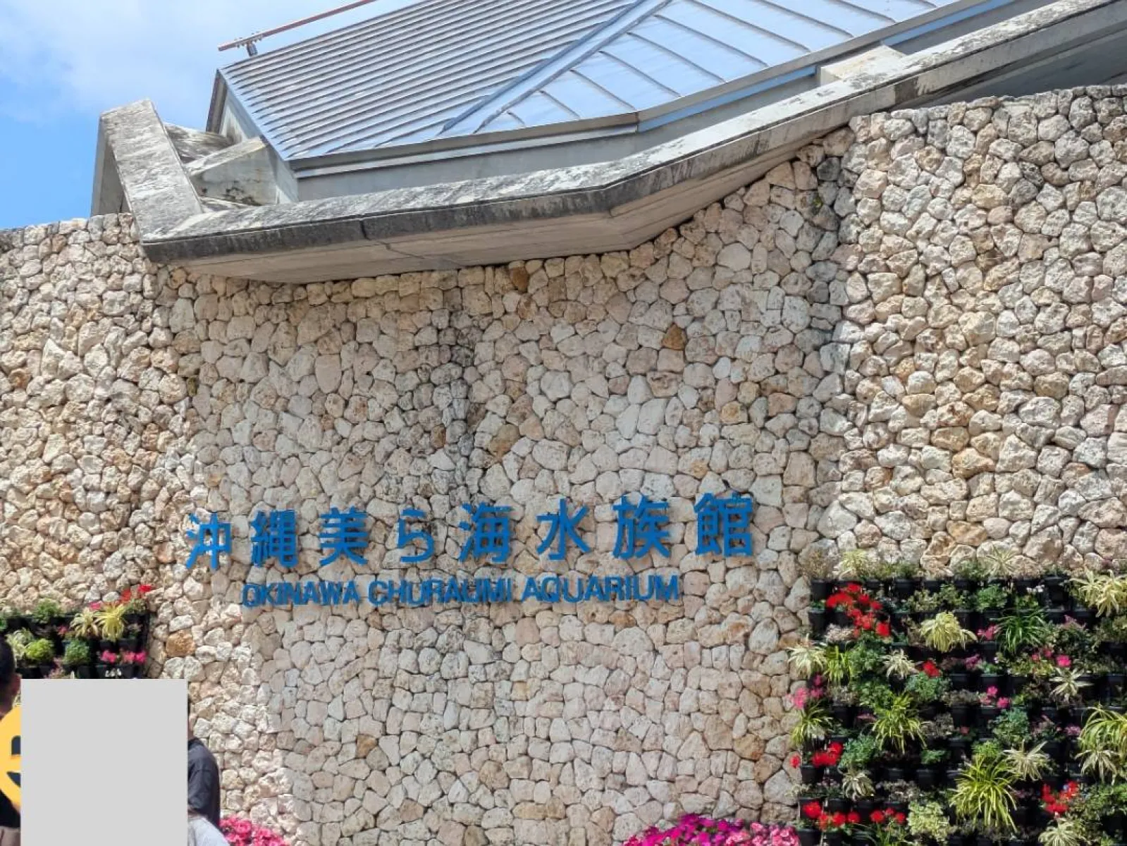 沖縄。