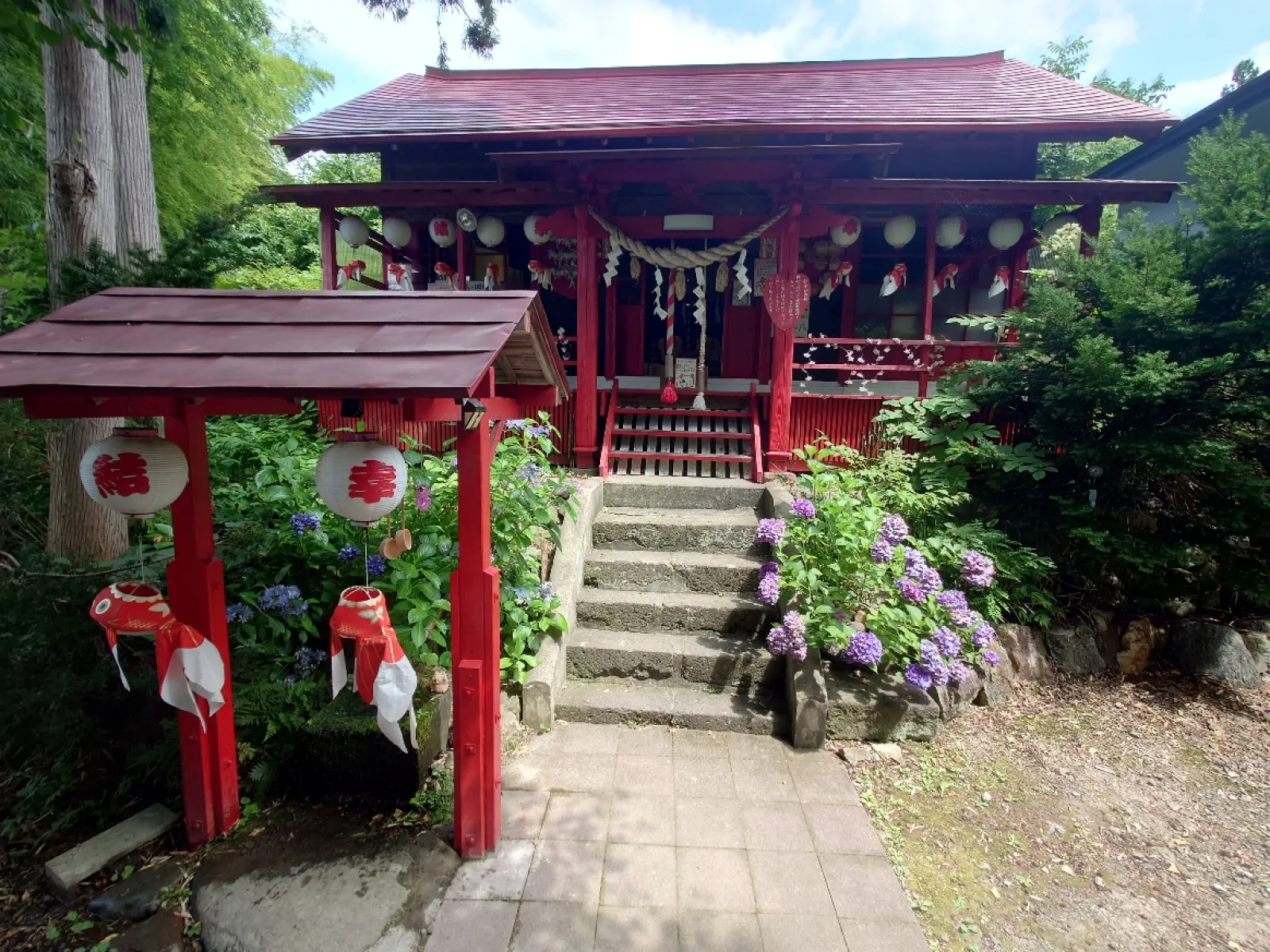 手水場には金魚が泳いで居ました。