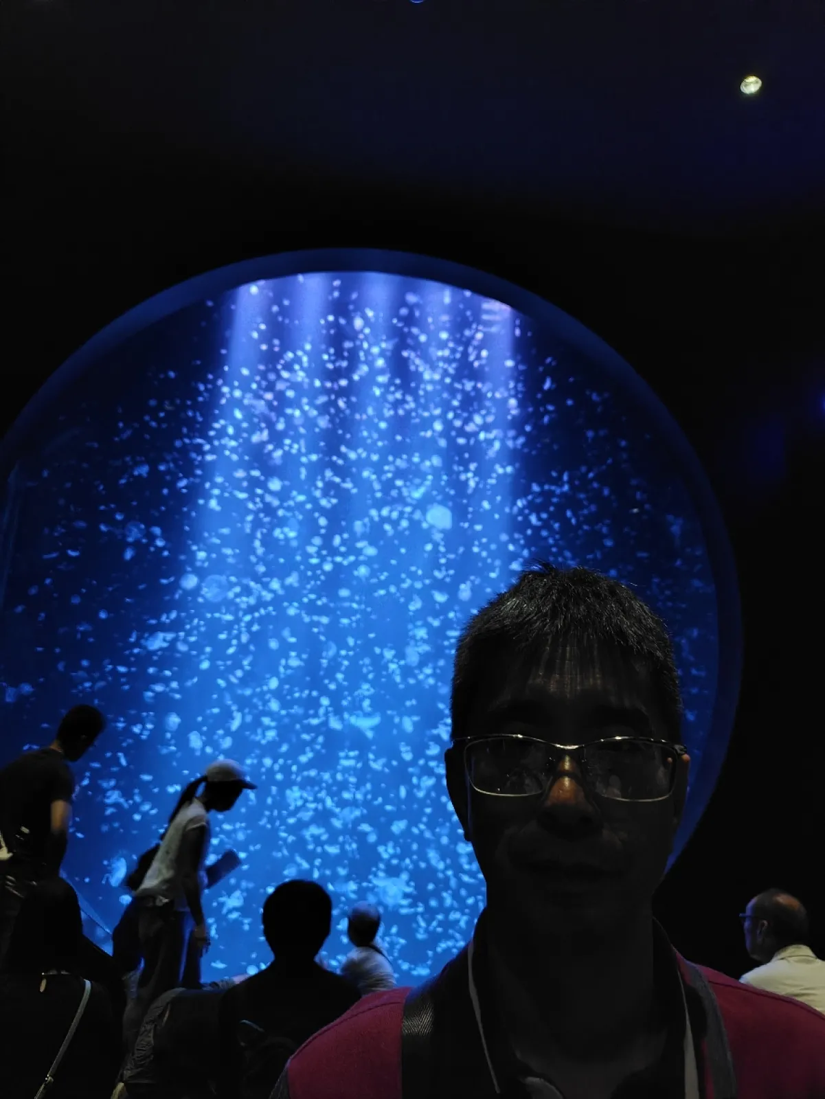 一度は聞いたことがあるんじゃないかと思う
"クラゲ水族館"のエプソンかもすいに行きました。
初展示や珍しいクラゲ·綺麗なクラゲがたくさんいて、楽しかったです。
派手さは、ありませんが大人も子供も楽しめると思います🪼
お盆時期ということもあり、朝１０時には駐車場が満車になることもあるようです。
バックヤードツアー（有料）もありますが、時間が合わす参加できなかったのが残念でした。