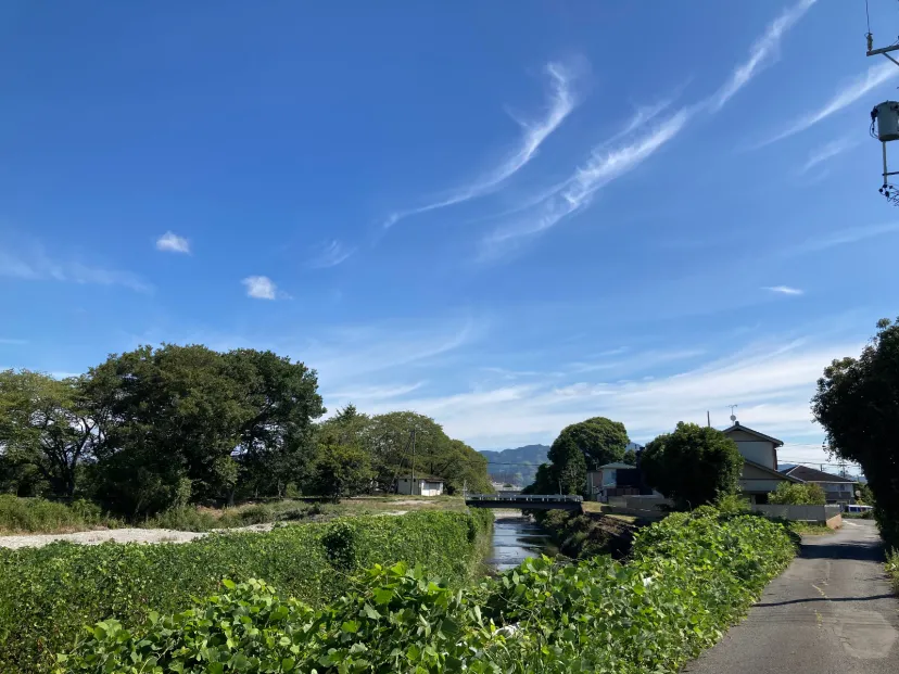 NB+ND  本日のラン&ウォークの風景