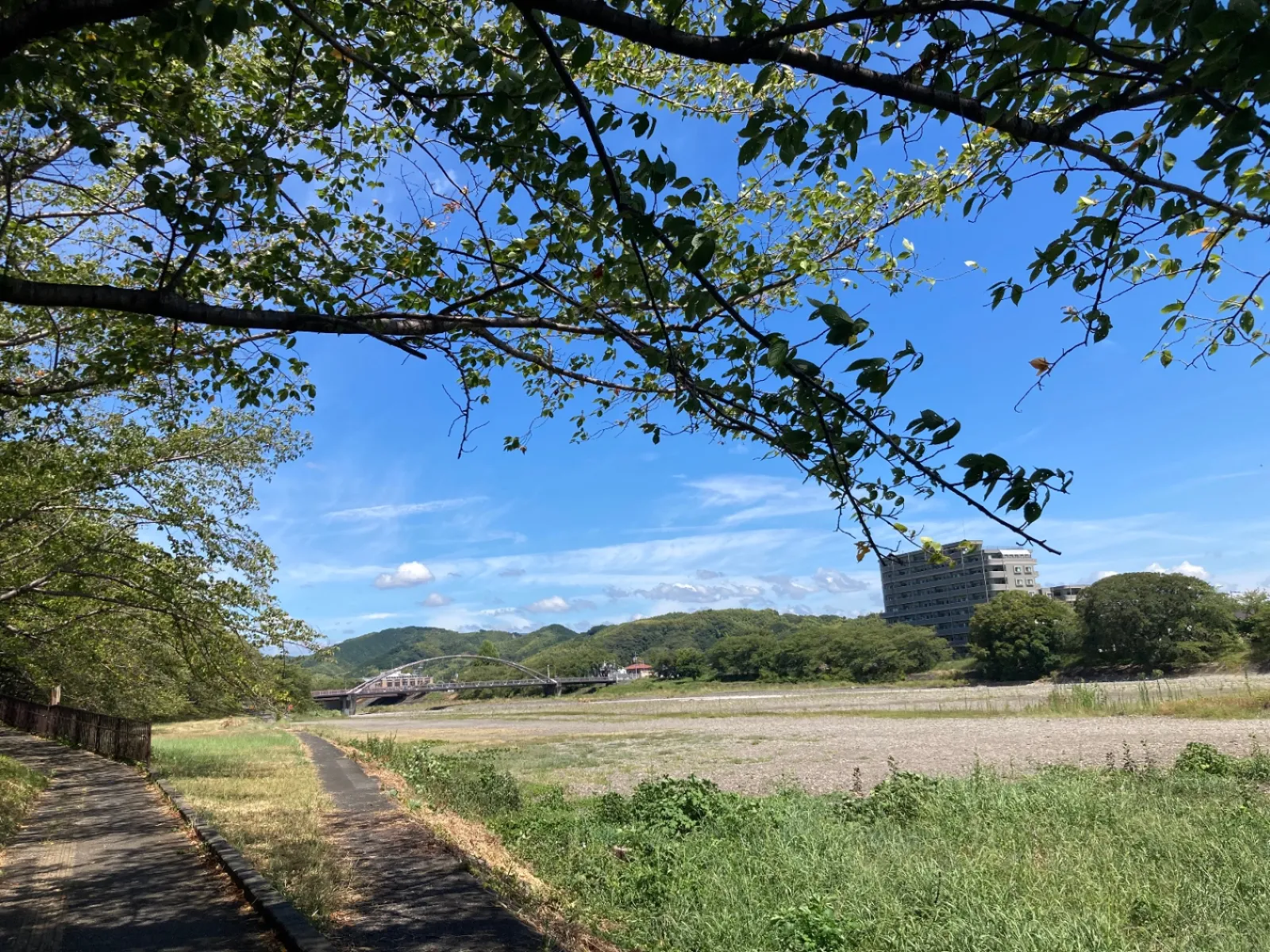 なんとなく見る風景が、全て、絵になる瞬間があり、うれしい気持ちになります。