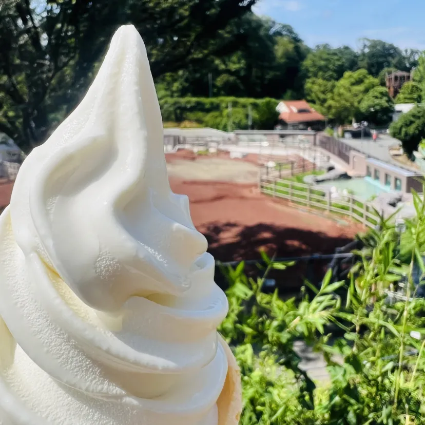 多摩動物公園にて