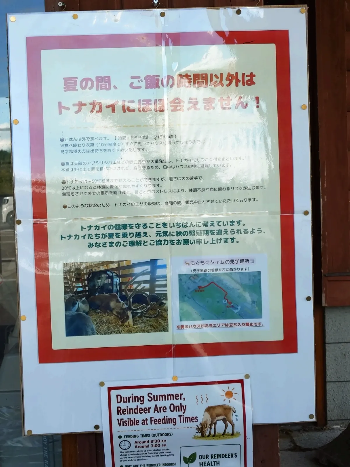 当日はアブ対策でごはんタイムも外に出てくることはありませんでした。
その代わり、大事にされていると感じられ、ほっとしました。
季節を考えて訪れるのがよさそうです。