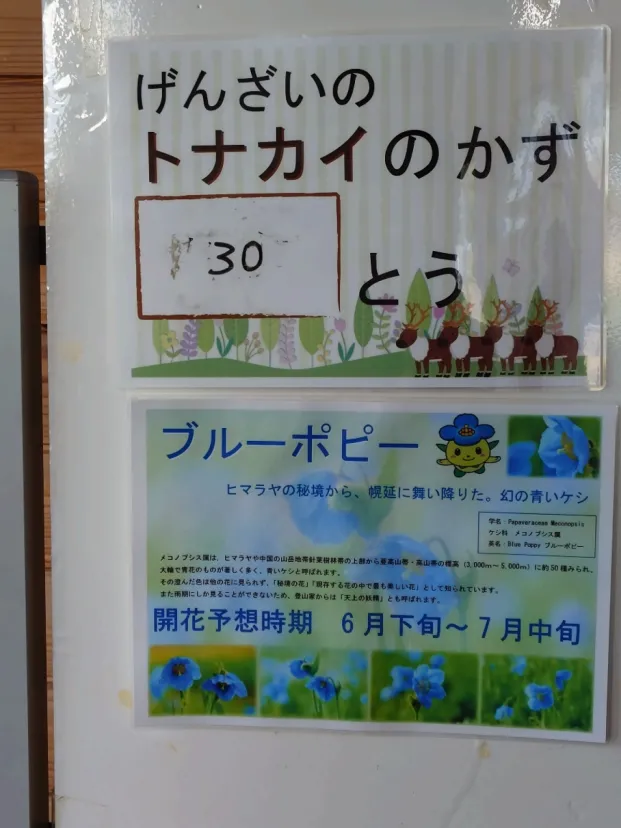 幌延町トナカイ観光牧場