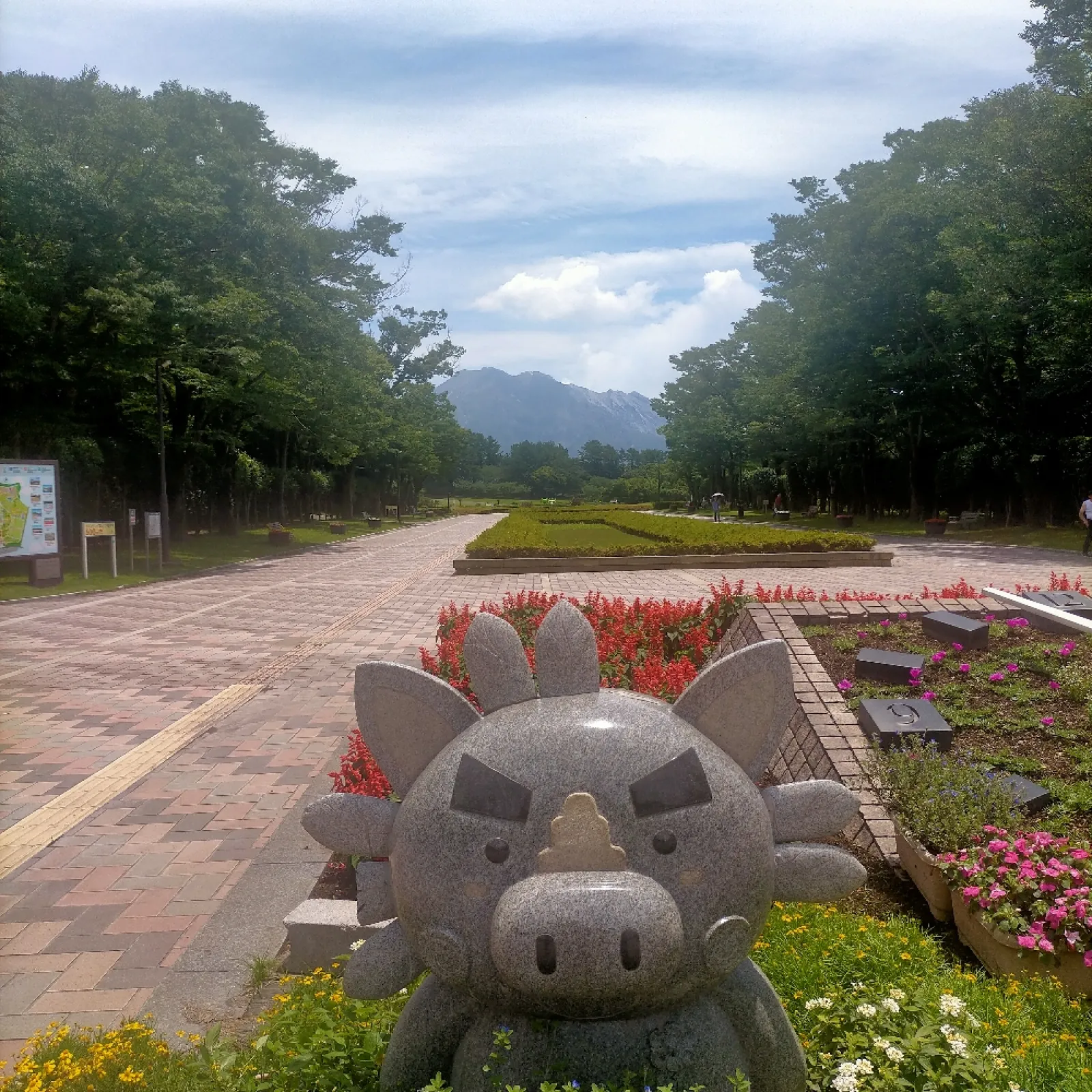 鹿児島の吉野公園。ぐりぶーの向こうに桜島が見えた。