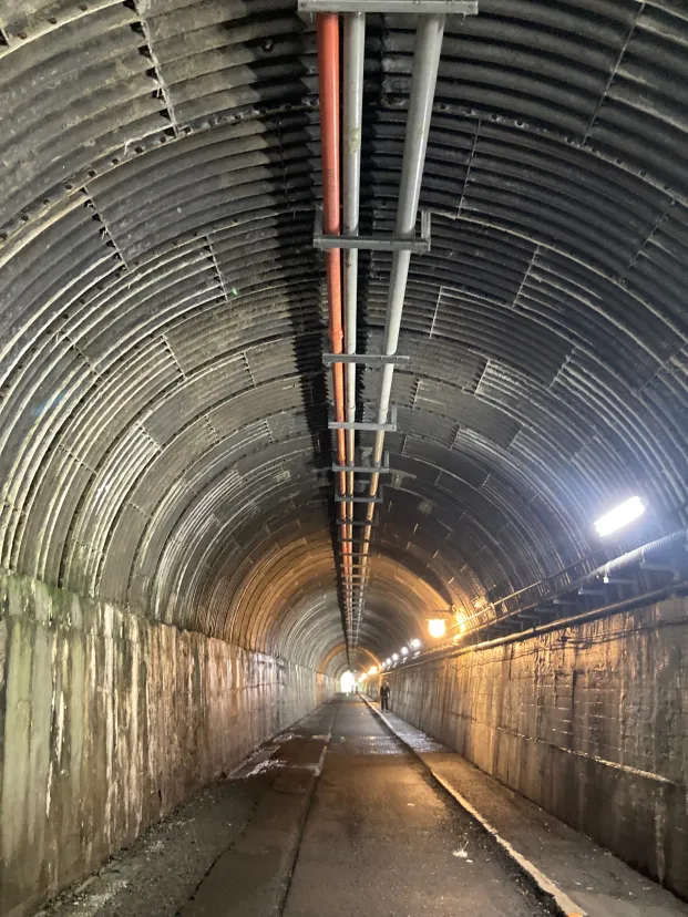 NB 寸又峡　夢のつり橋　山の中の中