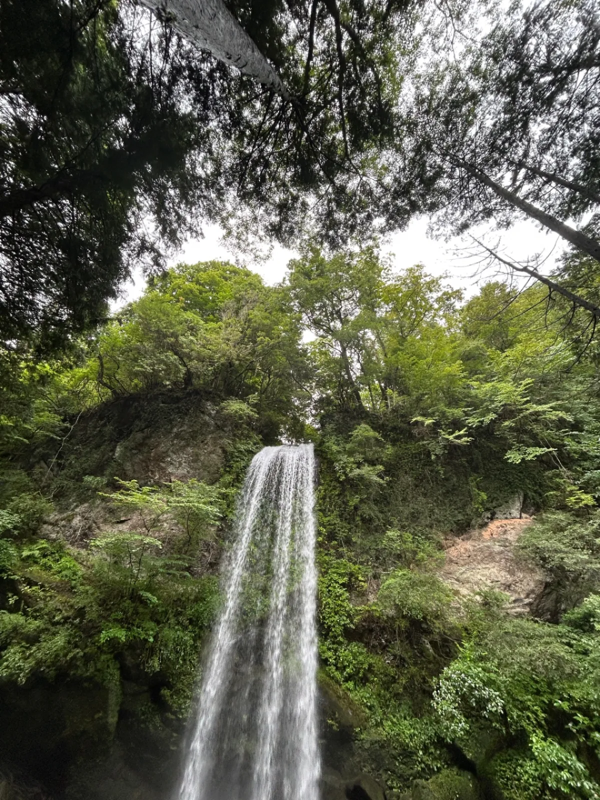 滝に向かう道中 雨がぽつりぽつり。
こりゃ、滝、行っても楽しめないかな？と思っているうちに雨が強くなる。

おかげで一番近い駐車場はまだスペースがあった。停めている最中にも強い雨。
予想雨雲レーダーを見ようにも、電波状況が思わしくなくて、確認ができない。

ようやく、雨がおさまってきて外に出てみる。

ちらほら、バーベキューやサウナの準備をしているグループはいたが、いつもの混雑はない。
とりあえず、滝を見に行く。
滝行のひともいなかったが、血気盛んな若者たちが冷たい滝つぼの中を我慢比べのように歩いていた。

落ちる滝の水が跳ね返り細かいミストとなり冷たいが、今日は気持ち良いという温度ではなく。

今回はそこまで暑くもなく、さっさと退散。

バーベキューを楽しむグループの香りと煙の中、川沿いで持ってきたカップラーメンをすすぎ、お昼を食べた。
金太郎のお水をいただいて、Uターンラッシュの渋滞にはまる前に帰ることにした。