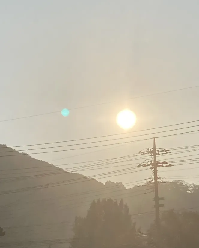 朝日