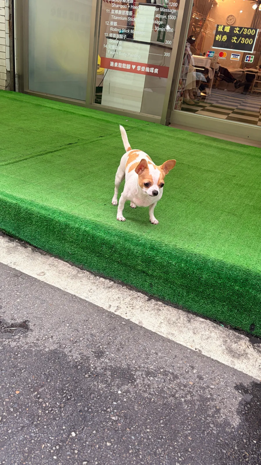 いぬです