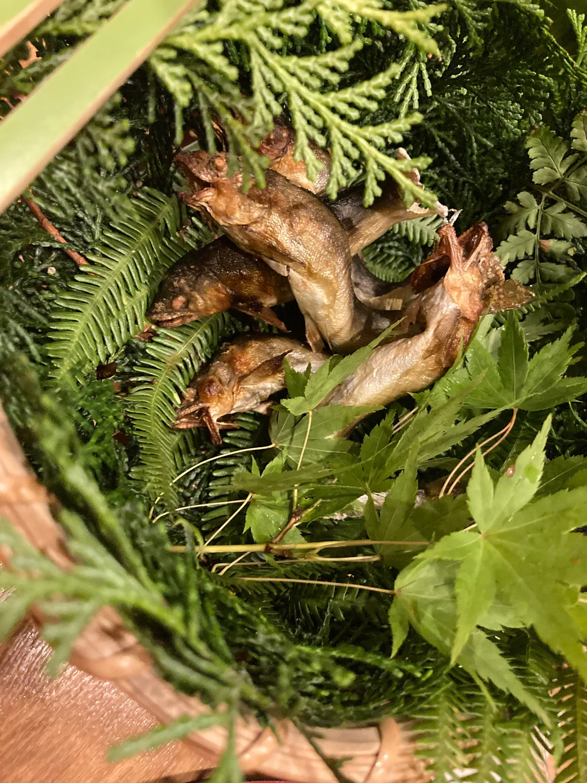 夏の定番、鮎の塩焼き。いつも嬉しい。