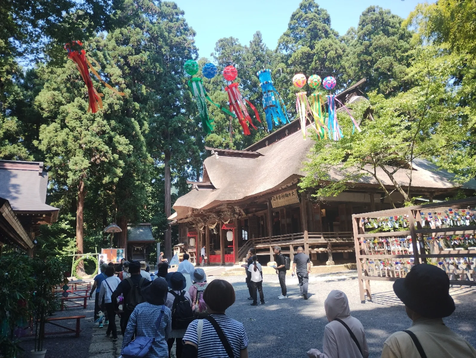 熊野大社です。大きい。