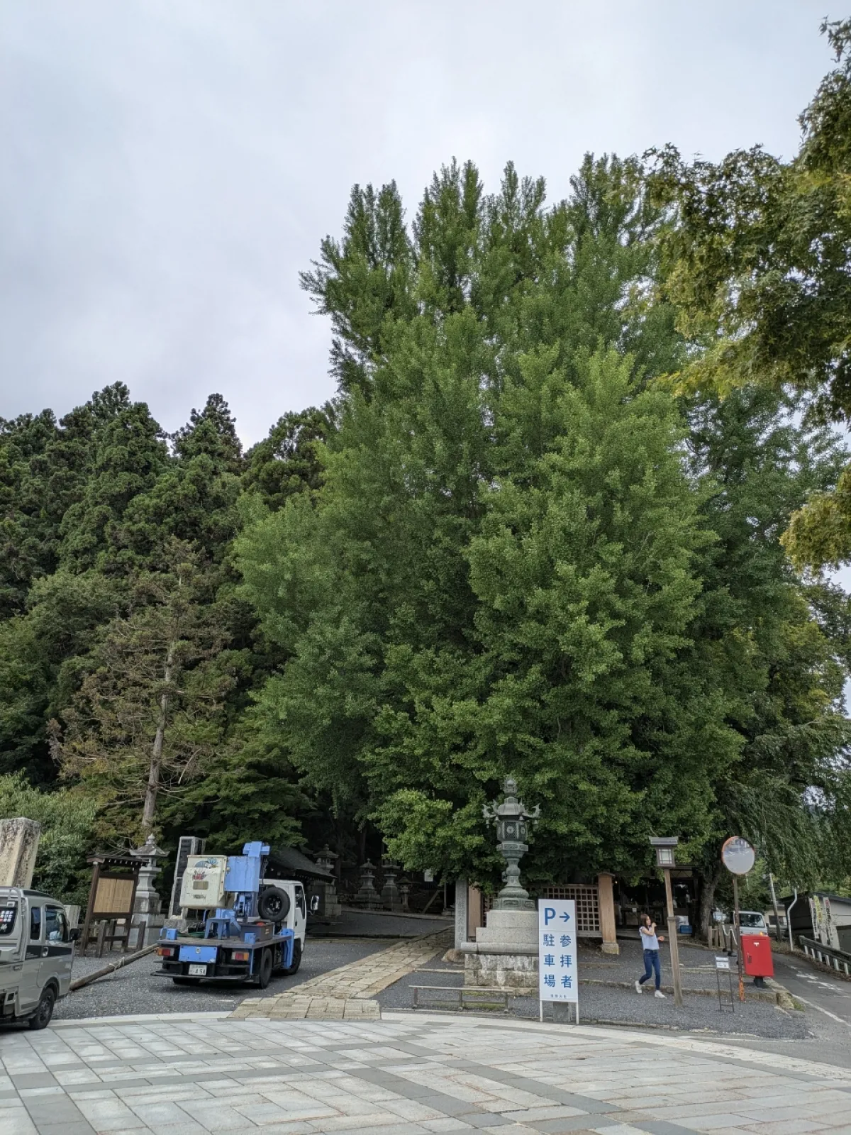 ８月31日に行った時に、夏詣の装飾を外してる最中でした。

秋の装飾に変わるのですね☺️

秋も楽しみにしています🍁