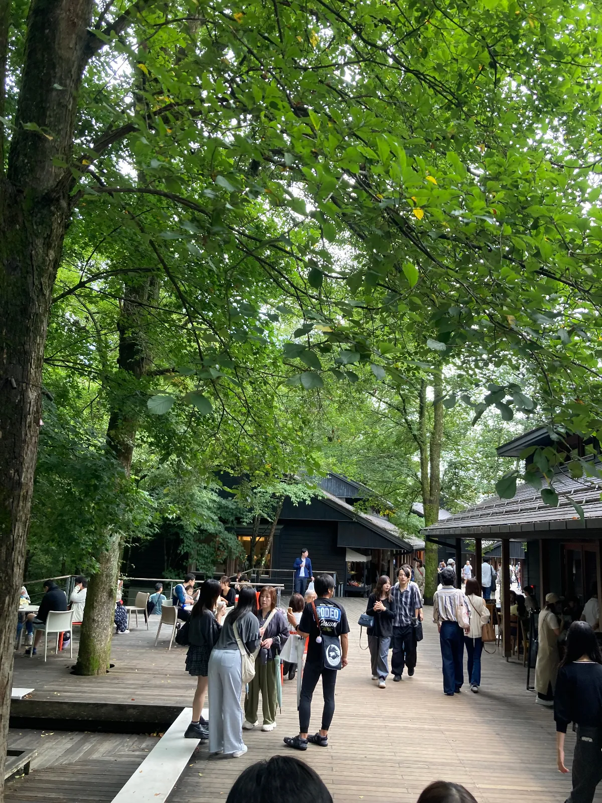 軽井沢星野エリア、ハルニレテラス。


続きがあれば、
ではまた。