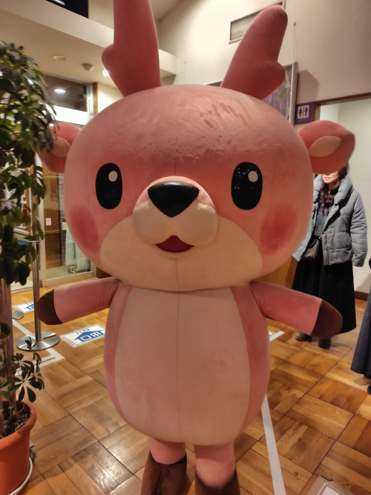 あしかがフラワーパークに行った時に、レストランに岩下の新生姜のキャラ"イワシカちゃん"が来ていました。
とてもゆるい感じのキャラでした😀