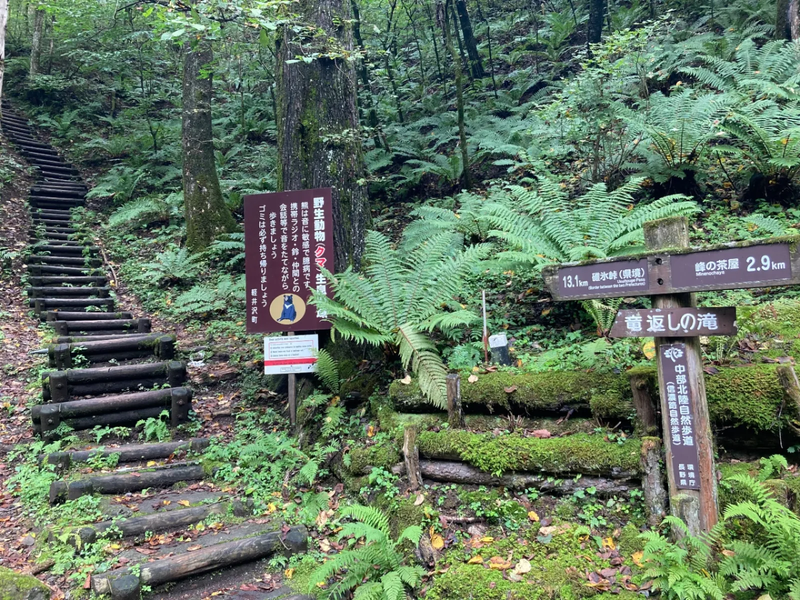 碓氷峠まで13.1キロ。熊注意。
