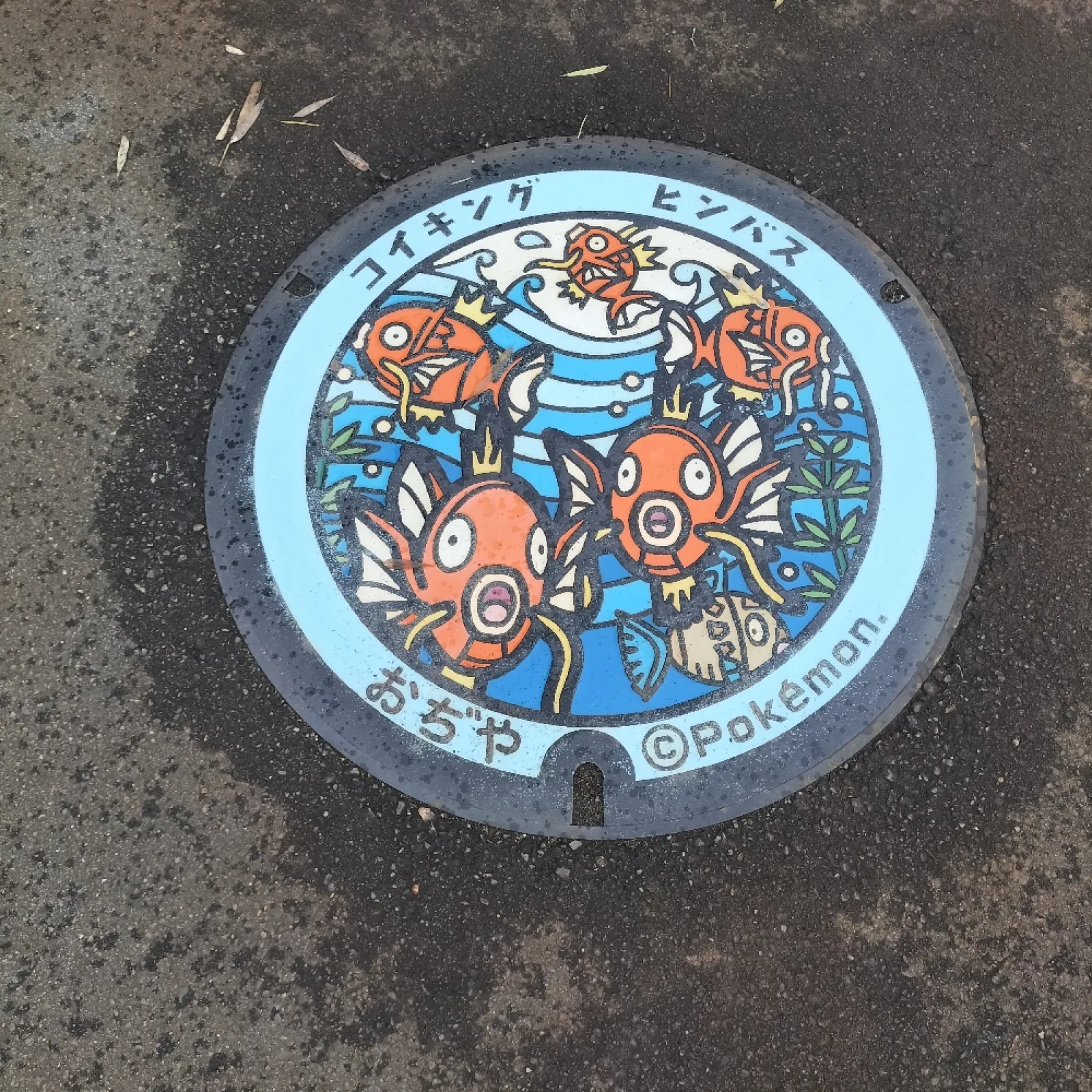 小千谷市錦鯉の里前にあるポケふたです。