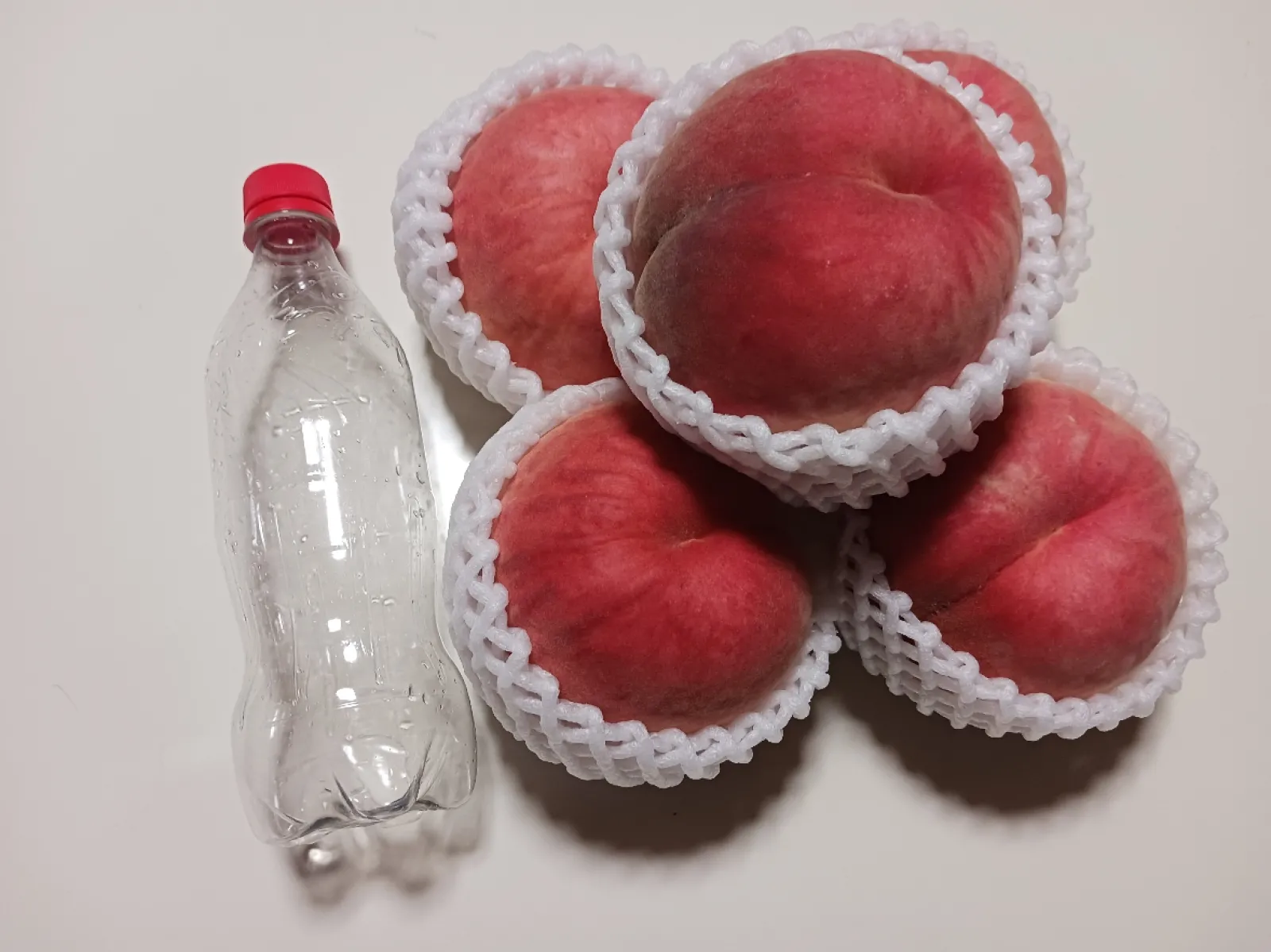 500mlのペットボトルと比べてこの大きさです。